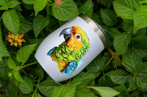 Beautiful Parrot Sublimation Clipart Sublimation Regulrcrative 
