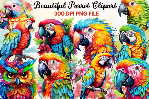Beautiful Parrot Sublimation Clipart Sublimation Regulrcrative 
