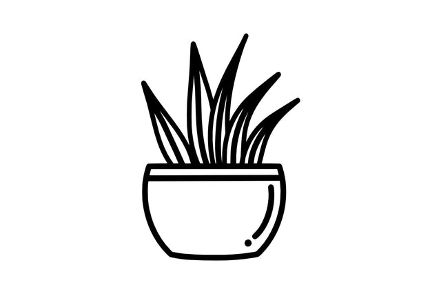 Beautiful Plants In Pots SVG SVG Masyafi Studio 