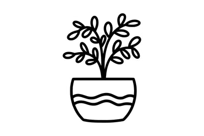 Beautiful Plants In Pots SVG SVG Masyafi Studio 
