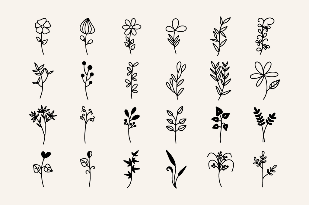 Beauty Botanical Elements - So Fontsy