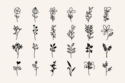 Beauty Botanical Elements SVG Masyafi Studio 