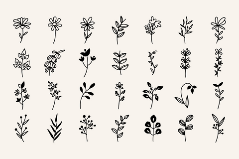 Beauty Botanical Elements SVG Masyafi Studio 