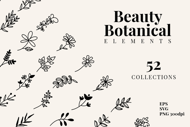 Beauty Botanical Elements SVG Masyafi Studio 