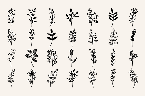 Beauty Floral Elements SVG Masyafi Studio 