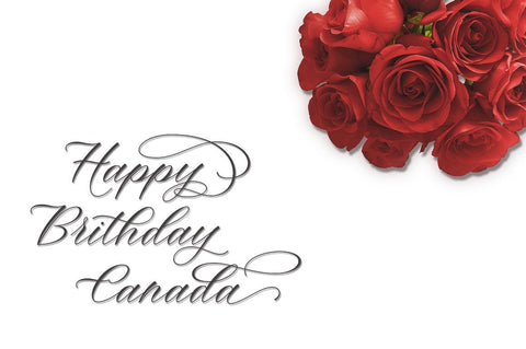 Beauty Moon Script Font Zane Studio55 