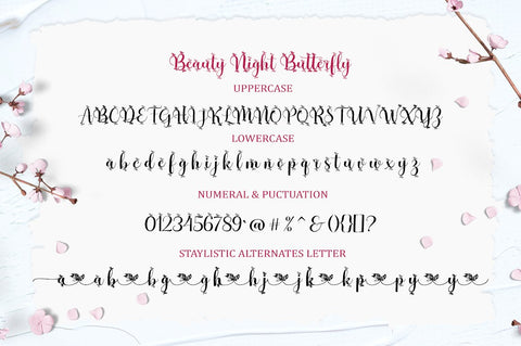 Beauty Night Script Font AngelStudio 