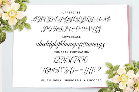 Beauty Queen Font AngelStudio 