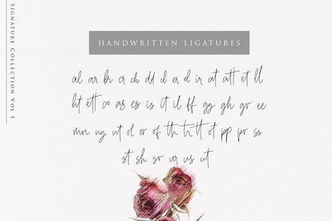 Beauty Signature - Handwritten Font Font Dm Letter Studio 