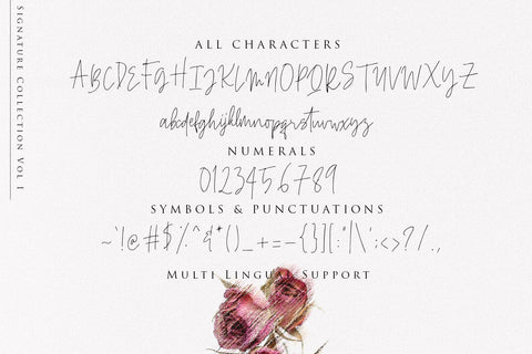 Beauty Signature - Handwritten Font Font Dm Letter Studio 