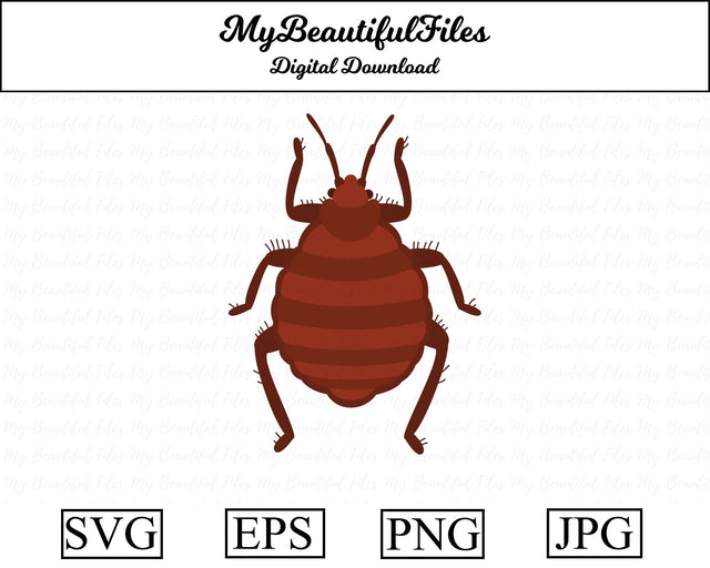 bed bug - insect SVG MyBeautifulFiles 