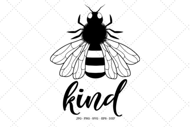 Bee Gift, Bee Kind Svg, Kindness Svg, Choose Kind, Be a Kind Human, Sayings Svg, Bee Kind Shirt, Bees Svg SVG SVG Digital Designer 