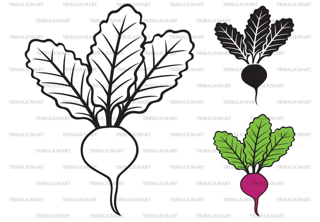 Beet vegetable SVG TribaliumArtSF 