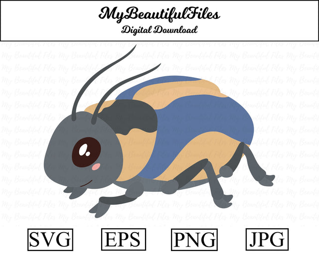 Beetle - Animal SVG MyBeautifulFiles 