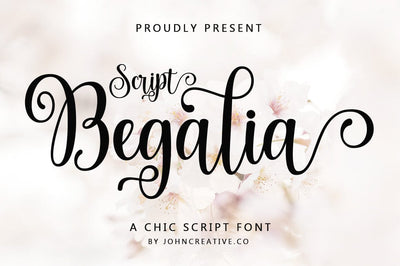 Begalia Script Font mr.johncreative.co 
