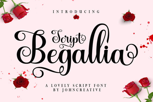 Begallia Script Font mr.johncreative.co 