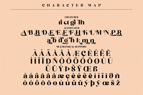 Begika Typeface Font Storytype Studio 