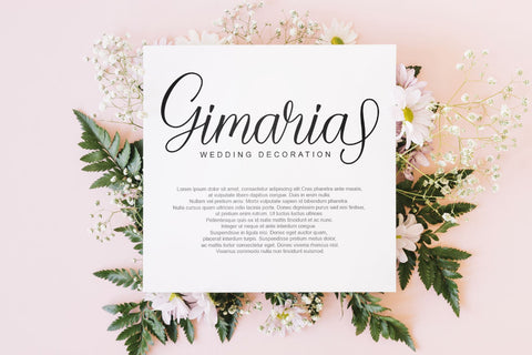 Belakonte Font toni_std 