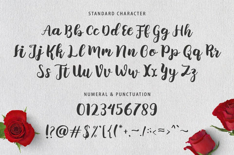 belamona Font Anastasia 
