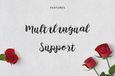 belamona Font Anastasia 