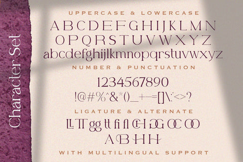 Belfina Husairy - Classic Serif Font Font StringLabs 