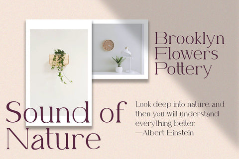 Belfina Husairy - Classic Serif Font Font StringLabs 