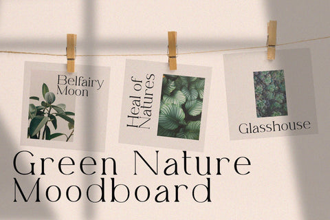 Belfina Husairy - Classic Serif Font Font StringLabs 