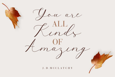 Belights Font Hans Co 