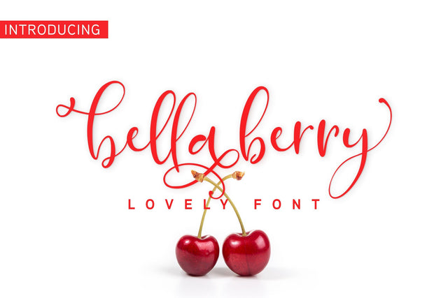 Bella Berry Font Jun Creative 