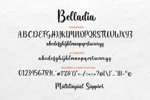 Belladia Script Font Font Suby Studio 