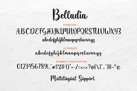 Belladia Script Font Font Suby Studio 