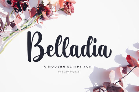 Belladia Script Font Font Suby Studio 