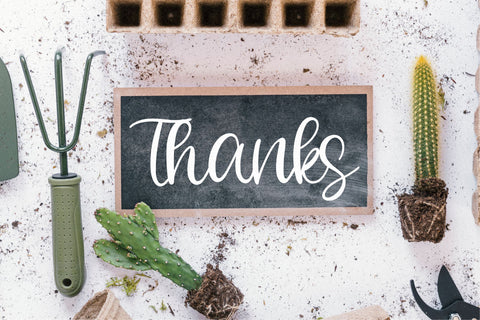 Bellafela Font Qwrtype Foundry 