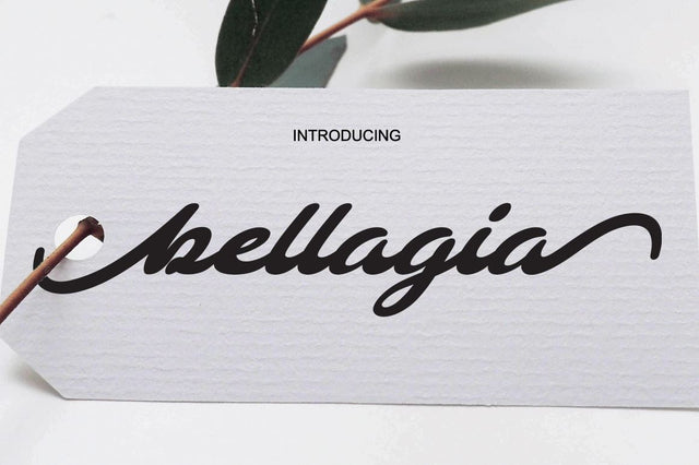 bellagia chocolate italic Font marwah store 