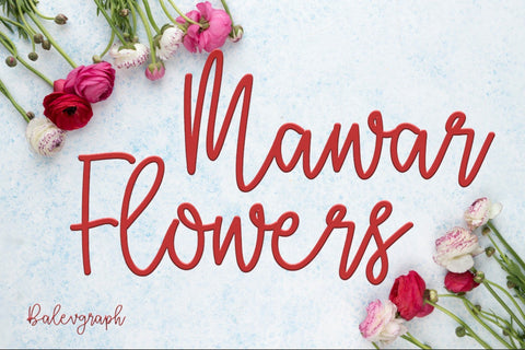 Bellanov - Handwritten Script Font Font Balevgraph Studio 