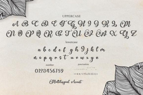 bellove Font eknojistudio99 