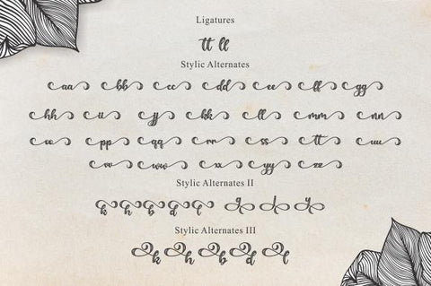 bellove Font eknojistudio99 