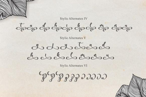 bellove Font eknojistudio99 