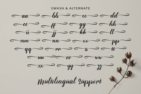 Bellugra Font Anastasia 