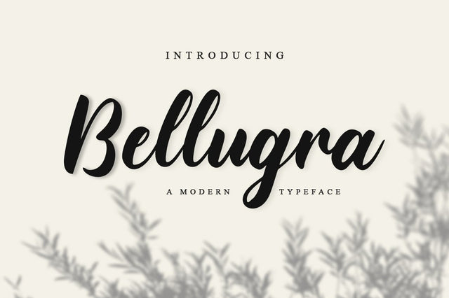 Bellugra Font Anastasia 