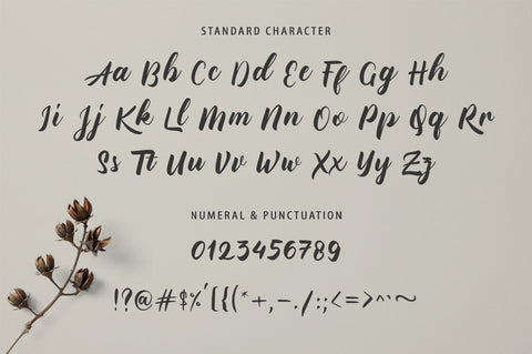 Bellugra Font Anastasia 