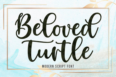 Beloved Turtle | Script Font Font Rastype 