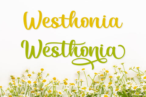 Beltania Font Madatype Studio 