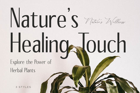 Benedict Family Typeface Font Storytype Studio 