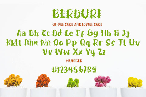 Berduri Font LetterdayStudio 