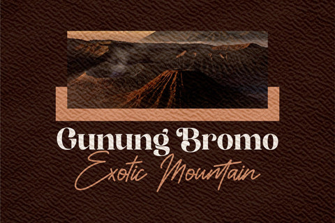 Bergante Typeface Font Storytype Studio 