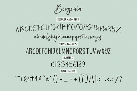 Bergenia Script FONT DUO Font Zane Studio55 