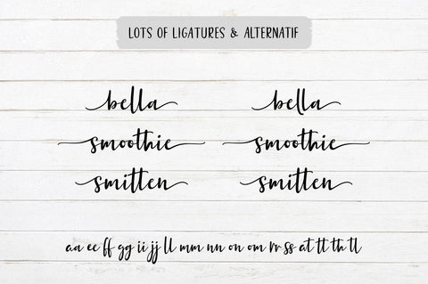 Bergenia Script FONT DUO Font Zane Studio55 