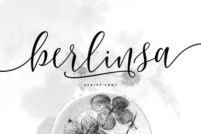 Berlinsa Script Font - Update! Font Fadeline Std. 
