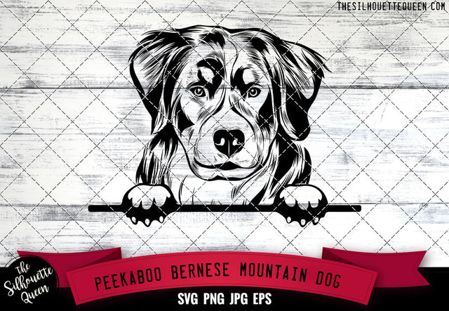 Bernese Mountain Peek A Boo | Peekaboo | Peeking Dog Face SVG for Glowforge, Cricut, Laser, Silhouette, Scan n cut files SVG Loveleen Kaur 